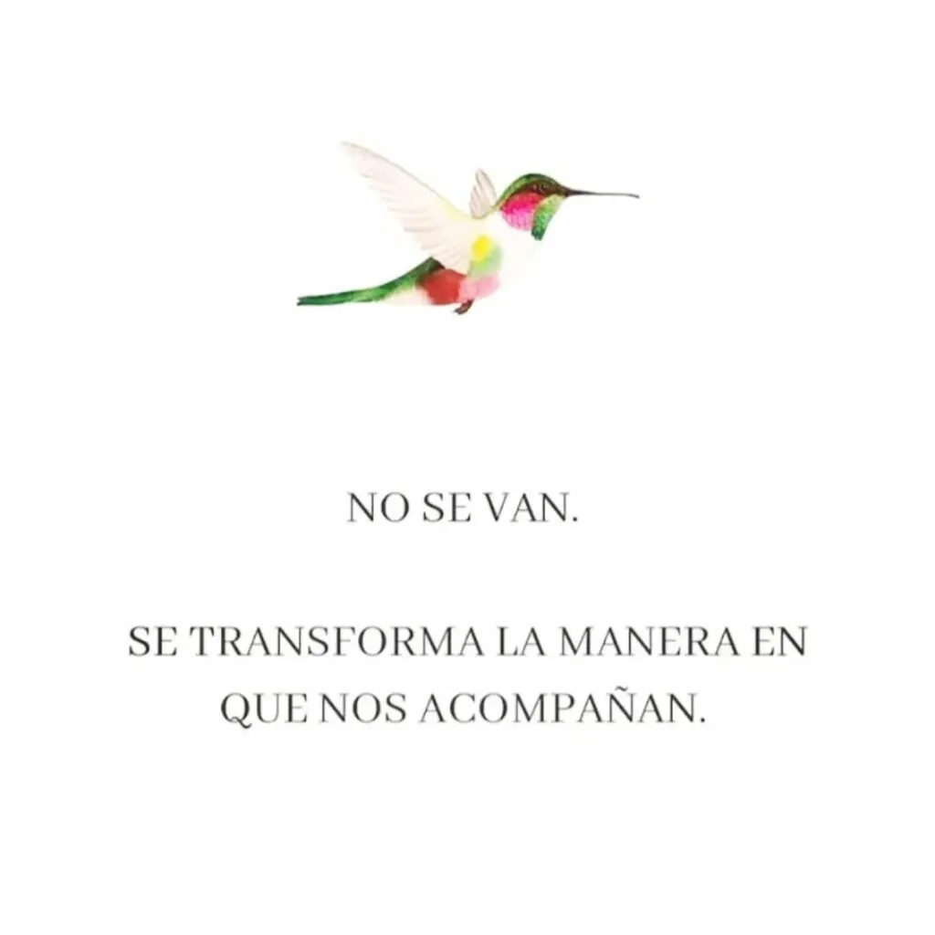 No se van, se transforma la manera en que nos acompañan
